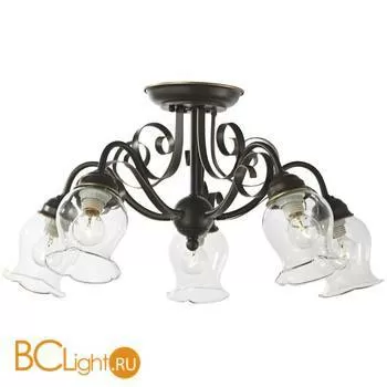 Потолочная люстра ST Luce SL145.302.05