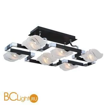 Потолочный светильник ST Luce SL147.802.06