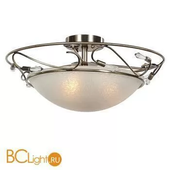 Потолочный светильник ST Luce SL149.302.03