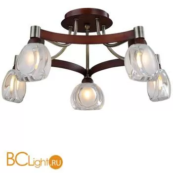 Потолочная люстра ST Luce SL181.302.05