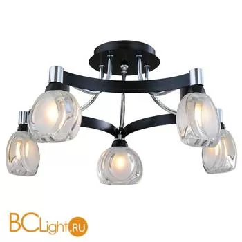 Потолочная люстра ST Luce SL181.702.05