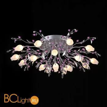 Потолочный светильник ST Luce SL201.102.16