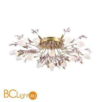 Потолочный светильник ST Luce SL201.202.16