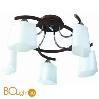 Потолочная люстра ST Luce SL300.802.05