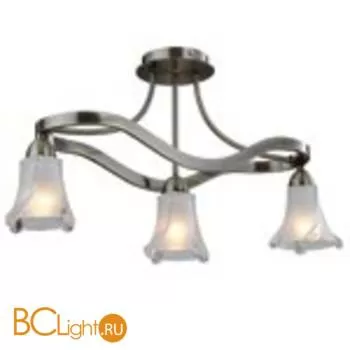 Потолочная люстра ST Luce SL306.302.03