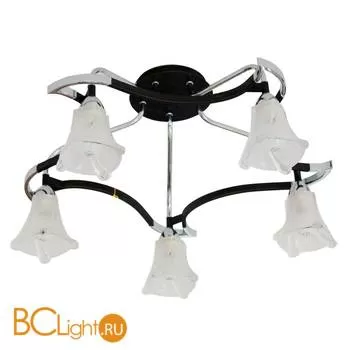 Потолочная люстра ST Luce SL307.702.05