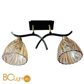 Потолочный светильник ST Luce SL315.302.02