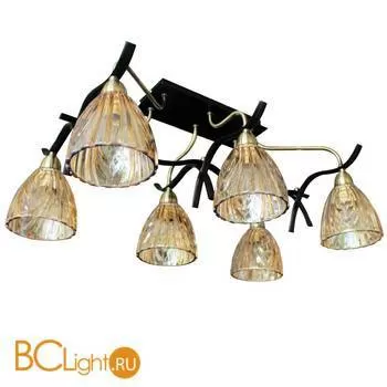 Потолочная люстра ST Luce SL315.302.06