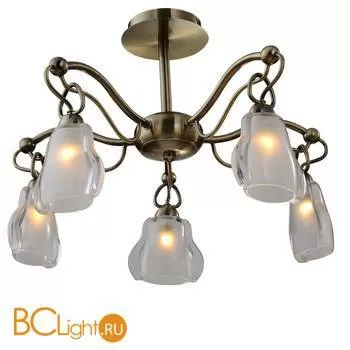 Потолочная люстра ST Luce SL316.302.05