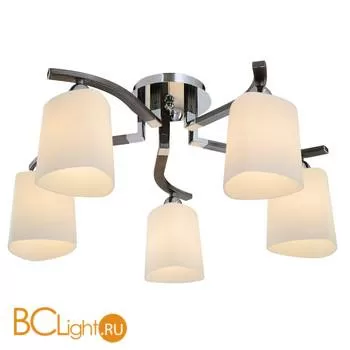 Потолочная люстра ST Luce SL320.702.05