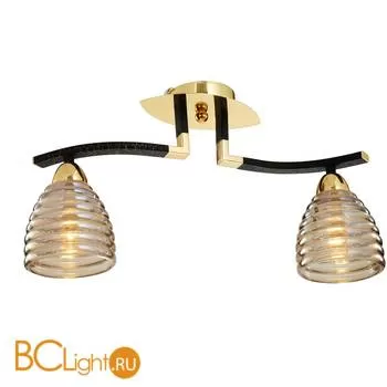 Потолочный светильник ST Luce SL325.202.02