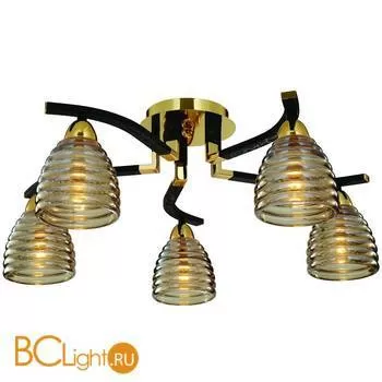 Потолочная люстра ST Luce SL325.202.05