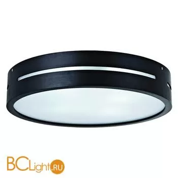 Потолочный светильник ST Luce SL675.402.04