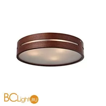 Потолочный светильник ST Luce SL675.702.03