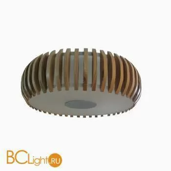 Потолочный светильник ST Luce SL713.902.03