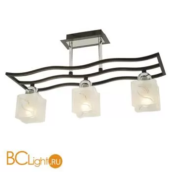 Потолочный светильник ST Luce SL720.702.03