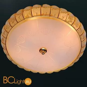 Потолочный светильник ST Luce SL763.202.06