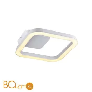 Потолочный светильник ST Luce SL864.502.01