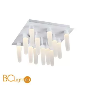 Потолочный светильник ST Luce SL865.502.13