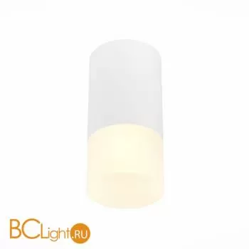 Потолочный светильник ST Luce ST100 ST100.512.01