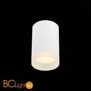 Потолочный светильник ST Luce ST100 ST100.502.01 - Фото 1