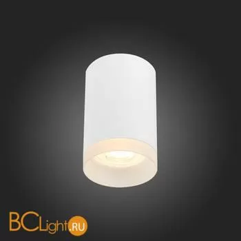 Потолочный светильник ST Luce ST100 ST100.502.01 - Фото 2