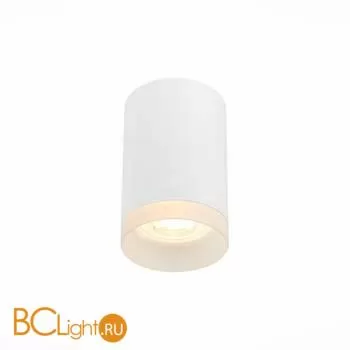 Потолочный светильник ST Luce ST100 ST100.502.01