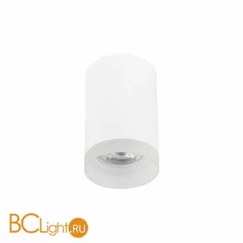 Потолочный светильник ST Luce ST100 ST100.502.01 - Фото 0