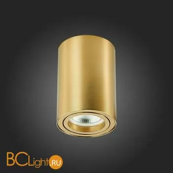 Спот ST Luce ST108 ST108.207.01 - Фото 4