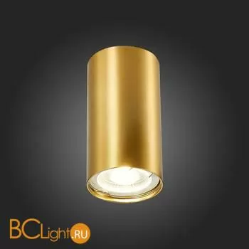 Спот ST Luce ST110 ST110.207.01 - Фото 3