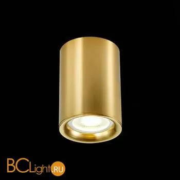 Спот ST Luce ST114 ST114.207.01 - Фото 1