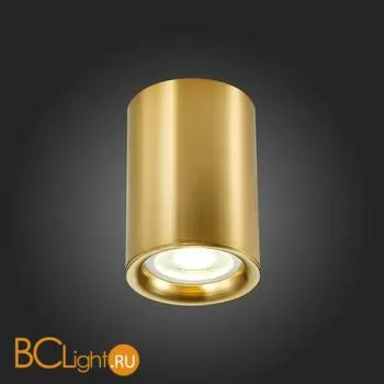 Спот ST Luce ST114 ST114.207.01 - Фото 3