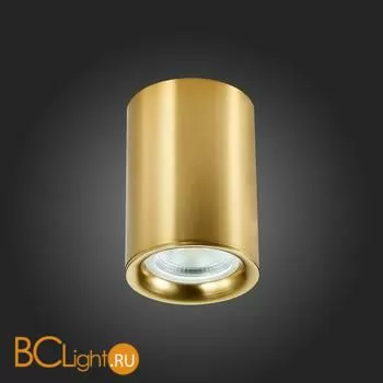 Спот ST Luce ST114 ST114.207.01 - Фото 4