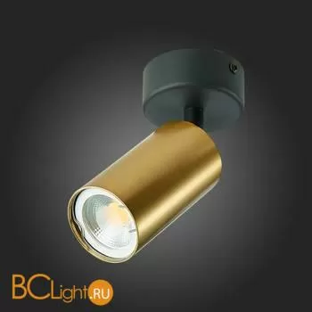 Накладной точечный светильник (спот) ST Luce ST303.202.01 - Фото 4