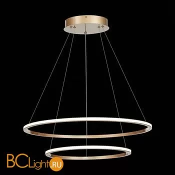 Подвесной светильник ST Luce ST604 Out ST604.243.56 - Фото 1