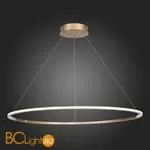 Подвесной светильник ST Luce ST604 Out ST604.243.46 - Фото 2