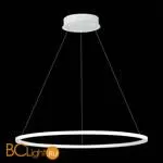 Подвесной светильник ST Luce ST604 Out ST604.543.34 - Фото 1