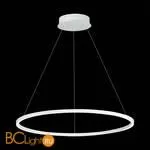 Подвесной светильник ST Luce ST605 Down ST605.543.34 - Фото 1