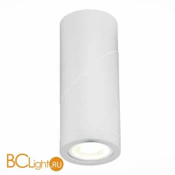 Спот ST Luce ST650 ST650.502.01 - Фото 1