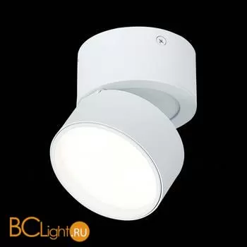 Спот ST Luce ST651 ST651.542.09 - Фото 2