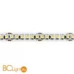 Светодиодная (LED) лента ST Luce Светодиодная лента 24V ST016.414.20