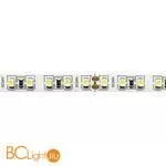 Светодиодная (LED) лента ST Luce Светодиодная лента 24V ST016.310.20
