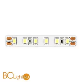 Светодиодная (LED) лента ST Luce Светодиодная лента 24V ST1001.410.20