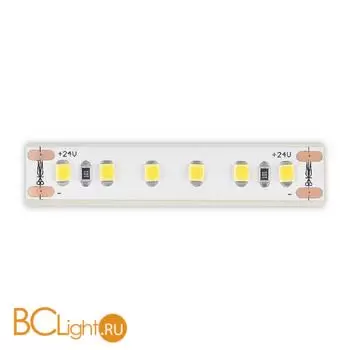 Светодиодная (LED) лента ST Luce Светодиодная лента 24V ST1001.314.65