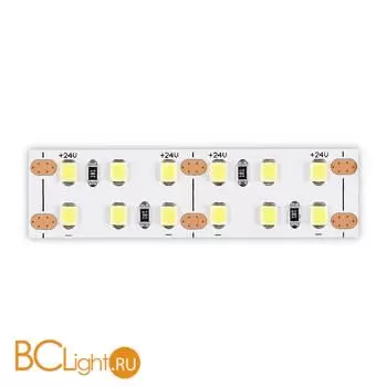 Светодиодная (LED) лента ST Luce Светодиодная лента 24V ST1002.320.20