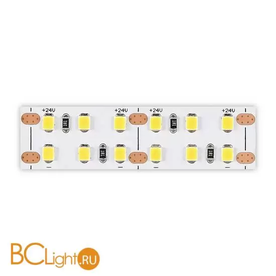 Светодиодная (LED) лента ST Luce Светодиодная лента 24V ST1002.420.20