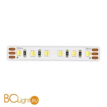 Светодиодная лента 24V 240 led/м 14W/m SMD 2835 1300 Lm/m 2700K-6500K CCT IP20, 5000×8 мм (цена указана за 1 м) ST1003.014.20CCT.2