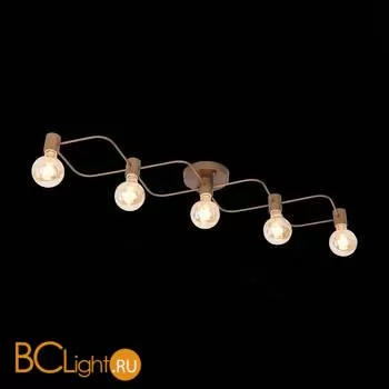 Потолочный светильник ST Luce Tavere SL413.212.05 - Фото 3