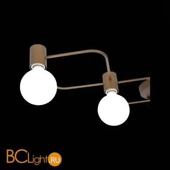 Потолочный светильник ST Luce Tavere SL413.212.05 - Фото 4