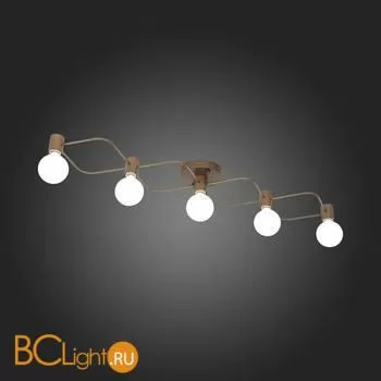 Потолочный светильник ST Luce Tavere SL413.212.05 - Фото 9